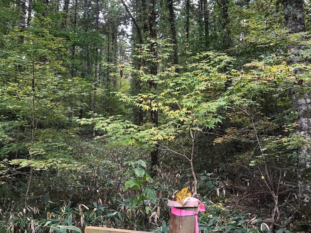 波罗多湖-白老町必去景点