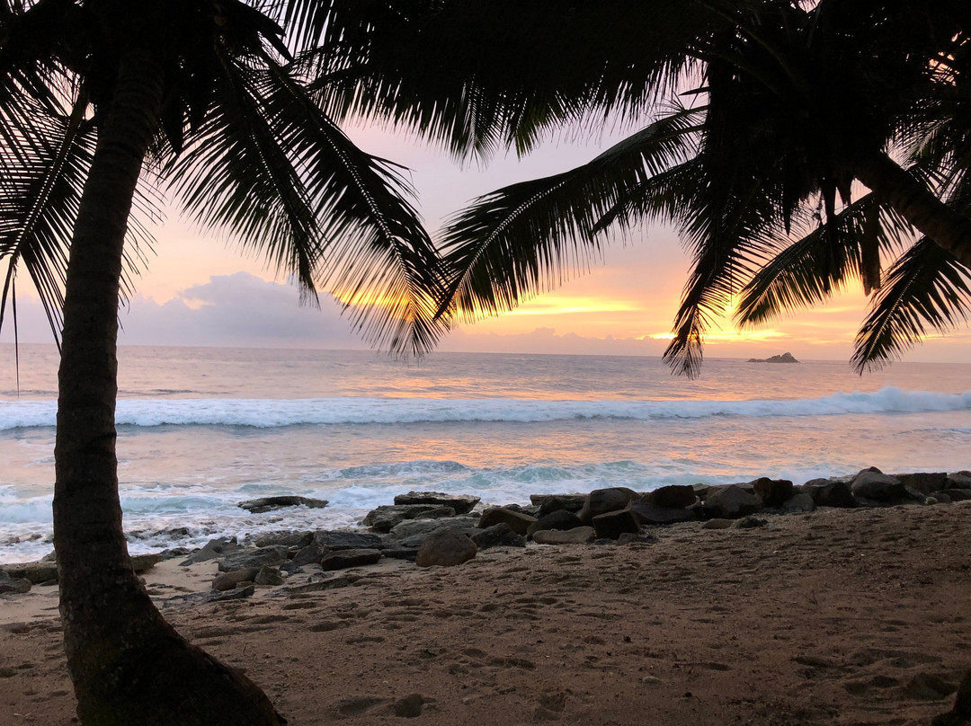 Domaine Desaubin Luxury Villas主图