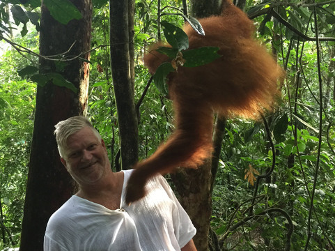 Sumatran Adventure-武吉拉旺必去景点