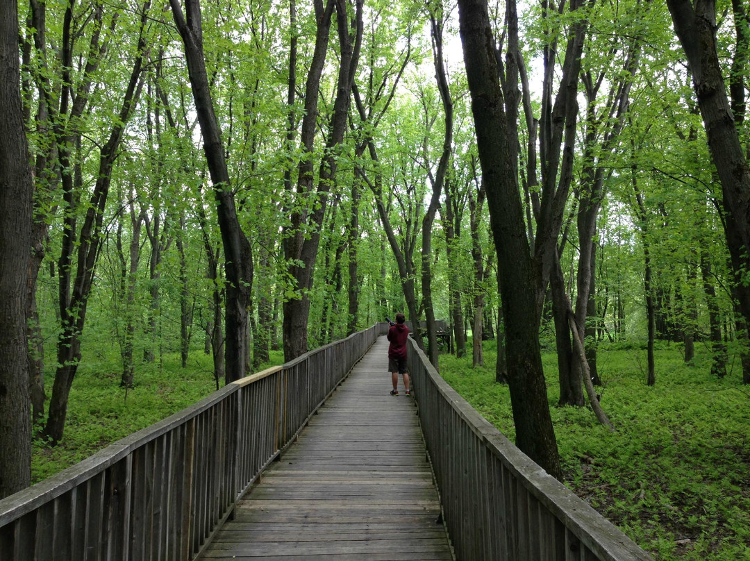 Parc Ecologique de l'Anse-du-Port景点图片