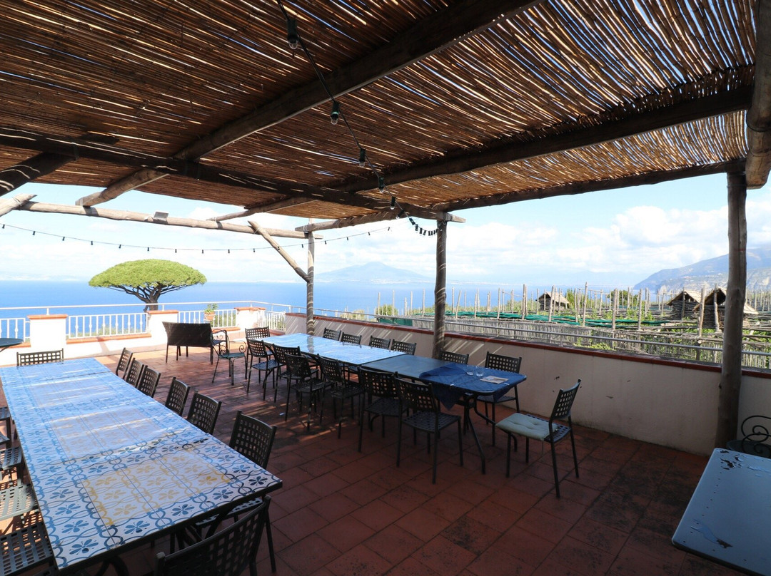 Agriturismo "Il Giardino di Vigliano"主图