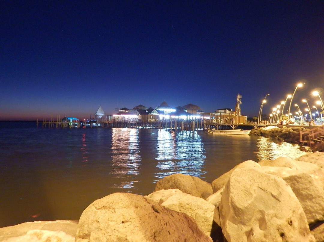 Navolato旅游景点-Malecon de Altata