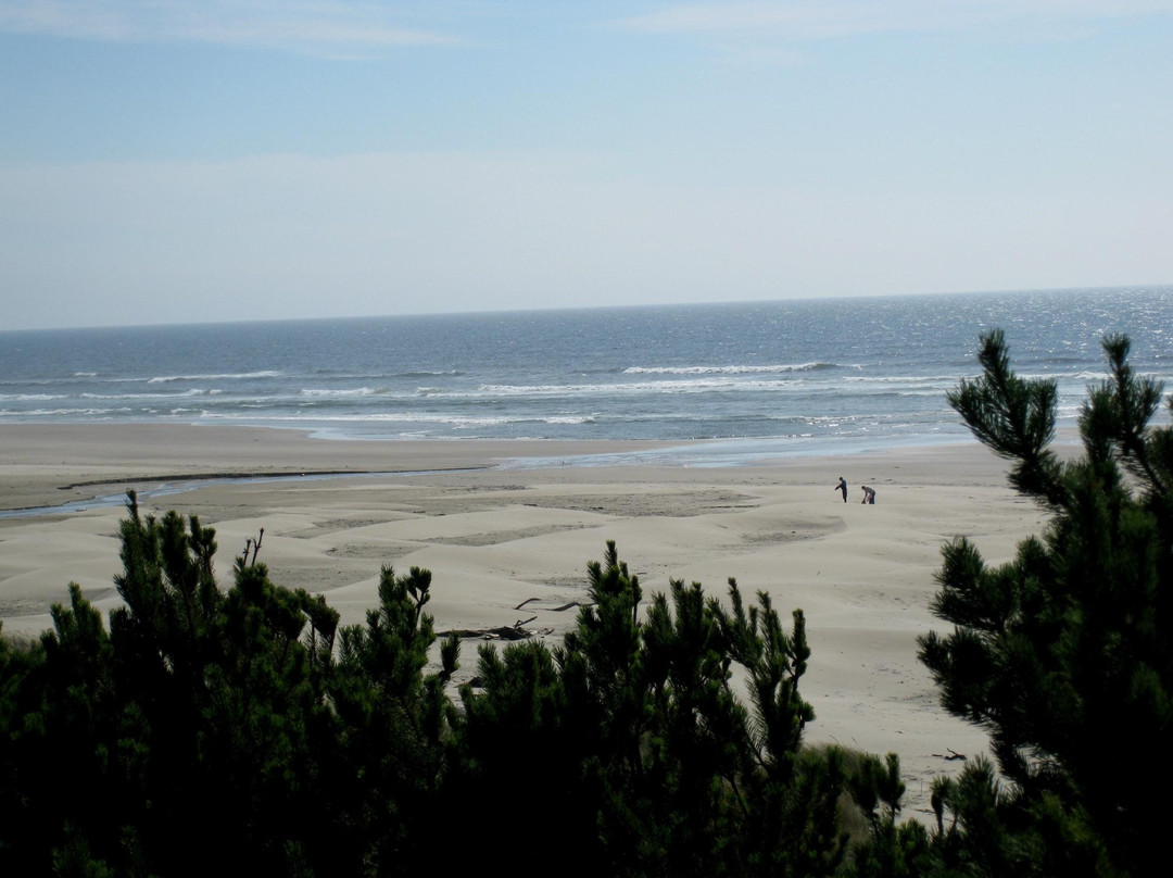 Driftwood Beach State Recreation Site景点图片