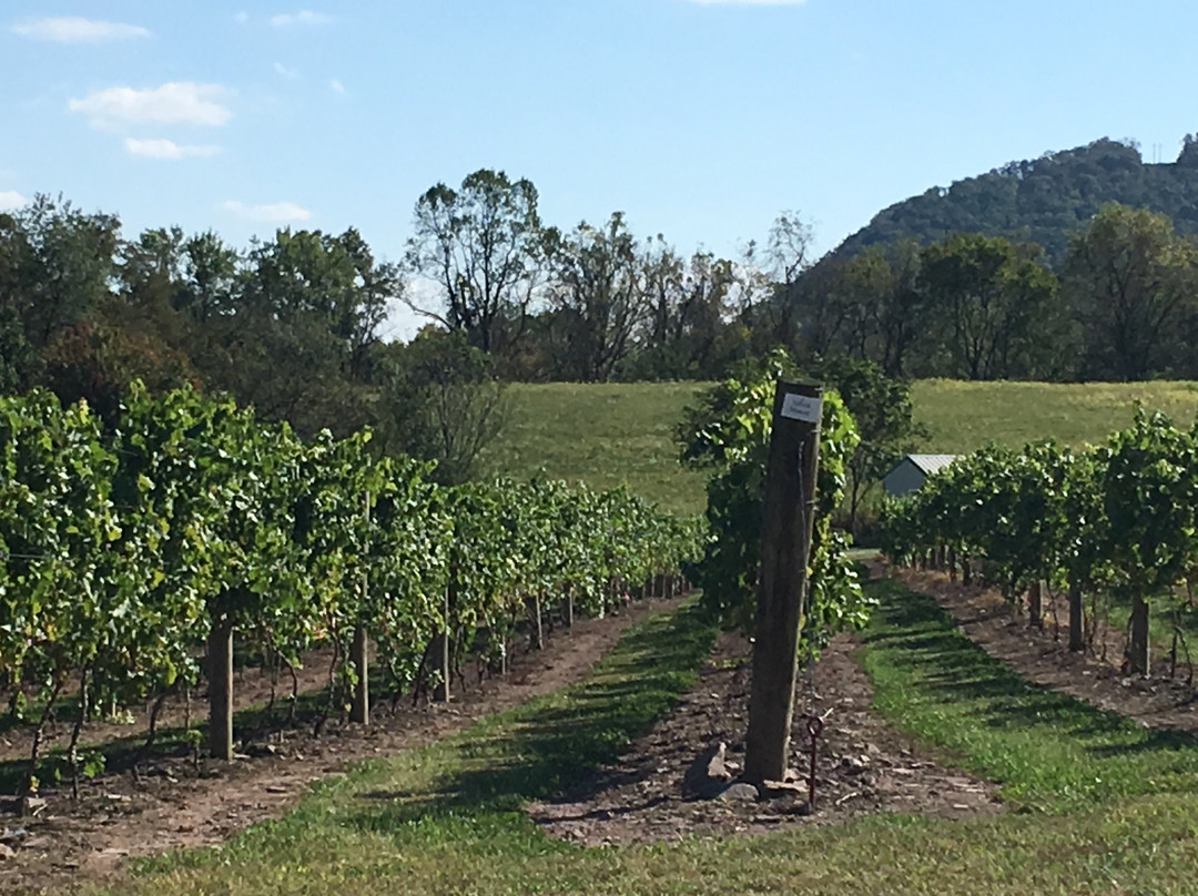 The Winery at Hunters Valley景点图片