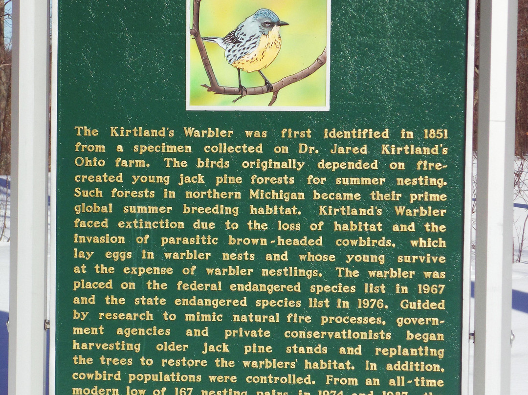 The Return of Kirtland's Warbler Historical Marker景点图片