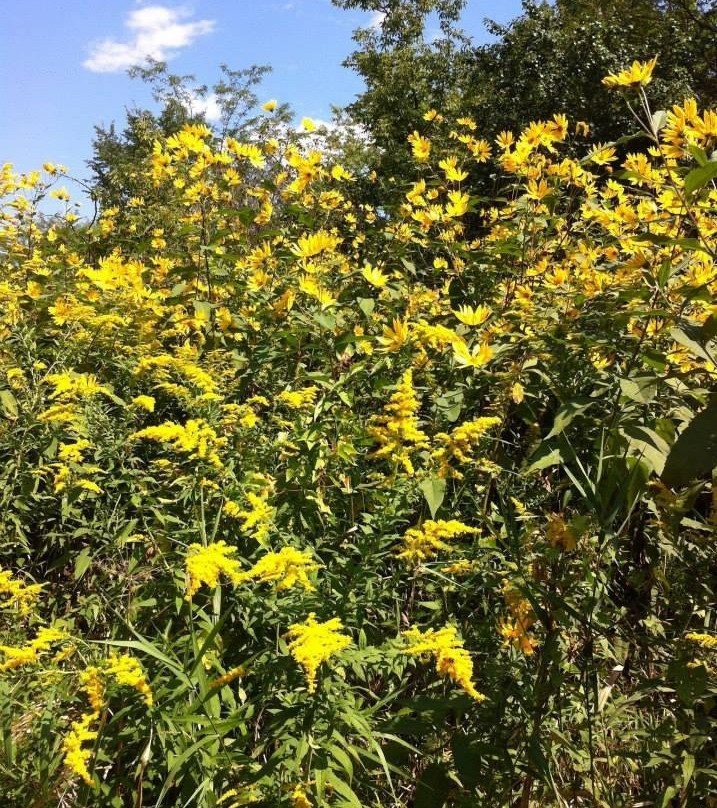 Illinois & Michigan Canal State Trail-LaSalle必去景点
