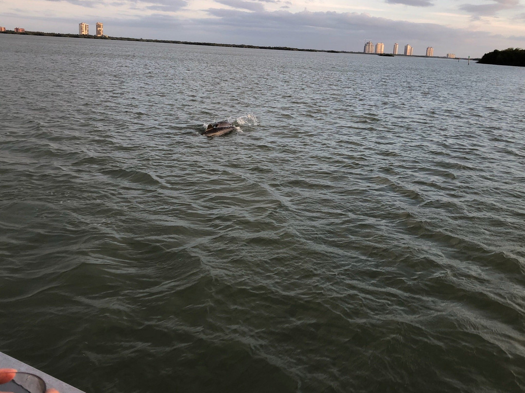 Captain Ed's Charter Boats-博尼塔斯普林斯必去景点