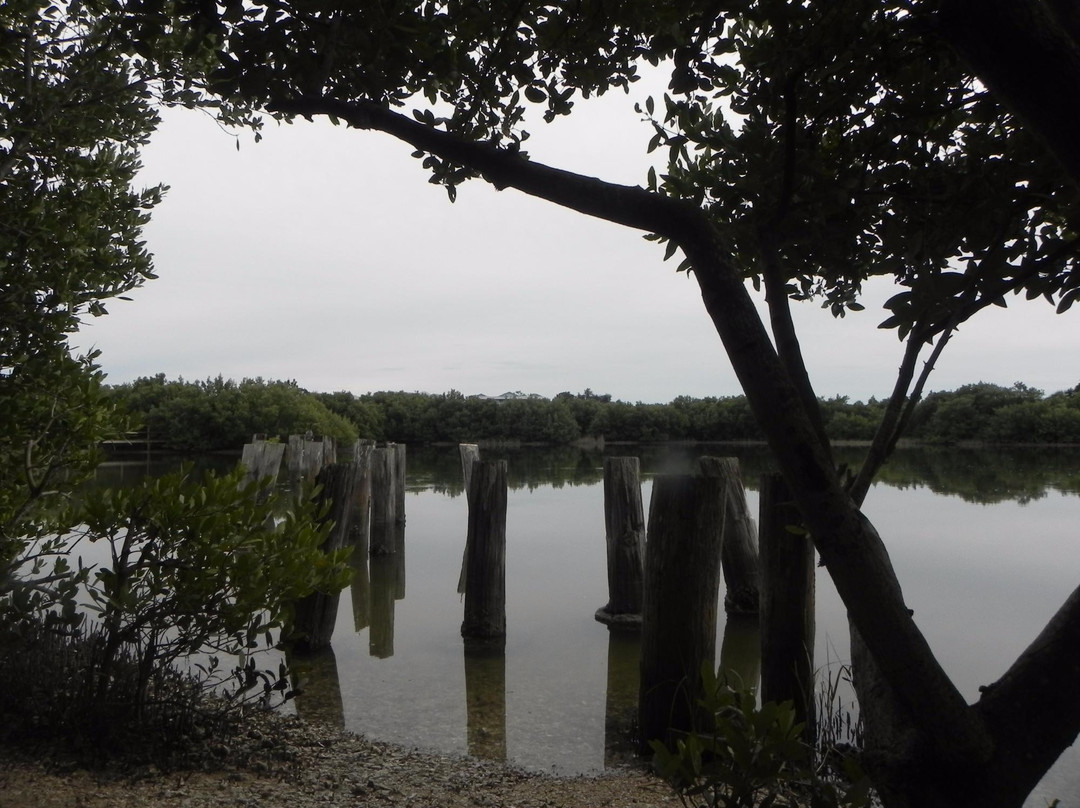 Cedar Key Railroad Trestle Nature Trail景点图片