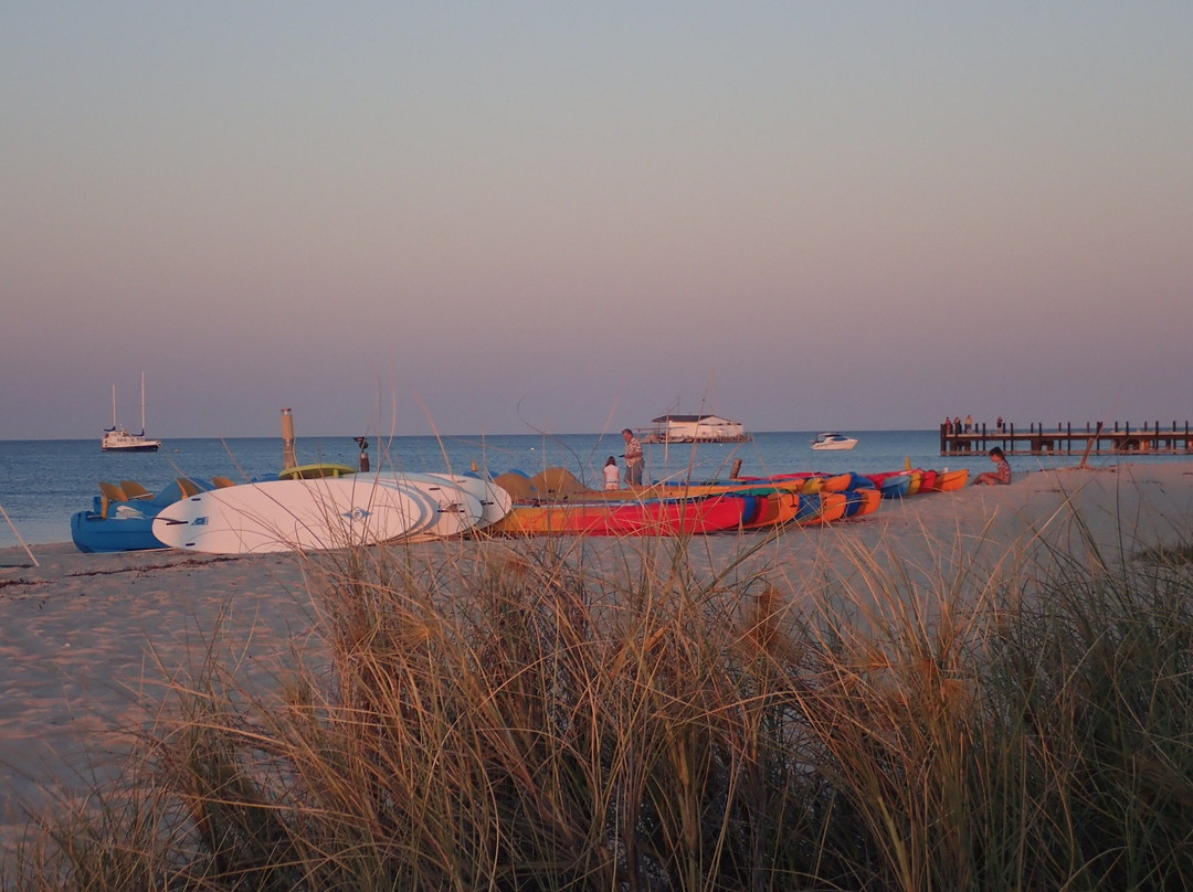 Monkey Mia餐馆和美食-Monkey Bar