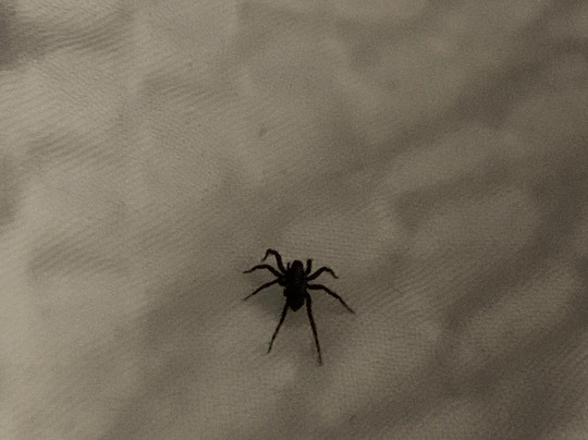 AmericInn by Wyndham Ankeny/Des Moines主图