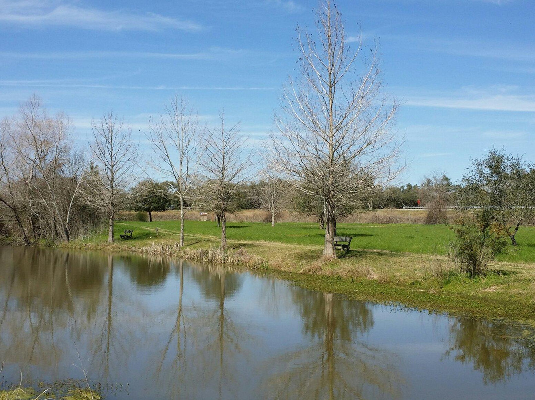 Bay City旅游景点-Matagorda County Birding Nature Center