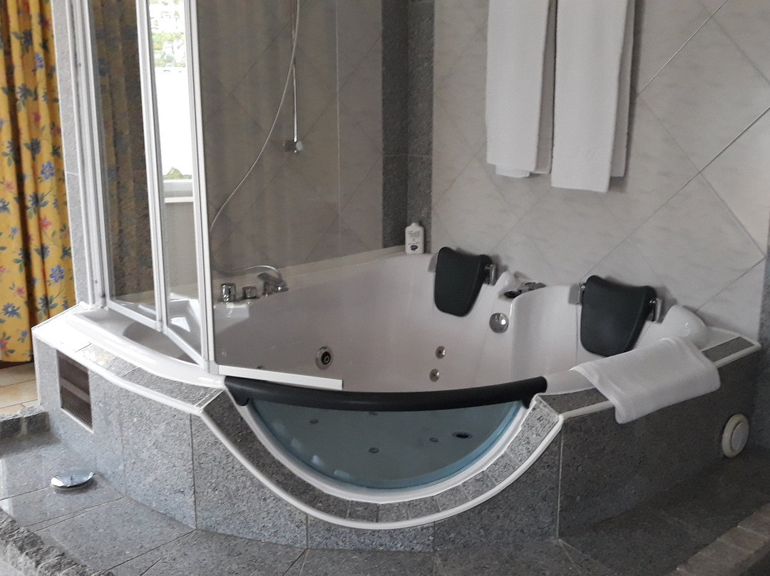 Seebauer Hotel Gut Wildbad主图