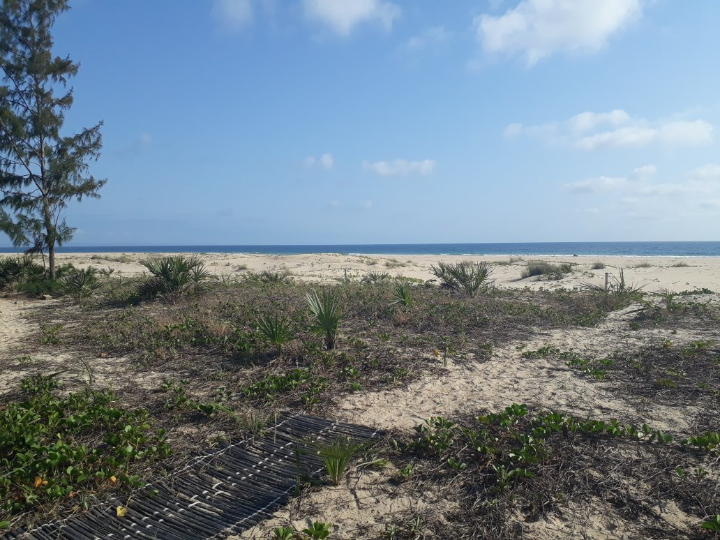 Barra Beach Club主图