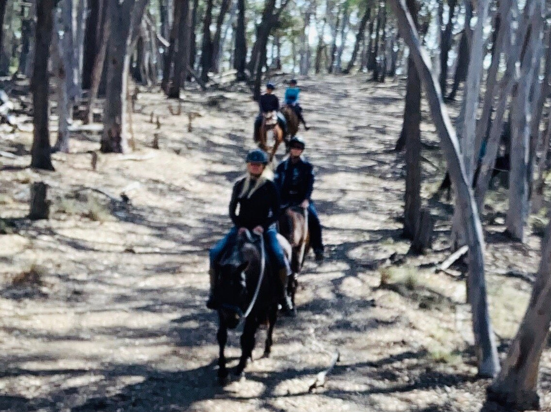 Burnelee Excursions on Horseback-穆任百特曼必去景点