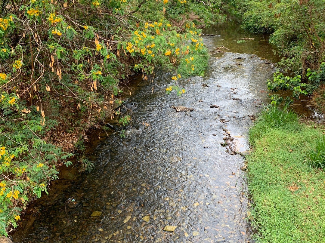 Dona Benta Suspension Bridge-Pirenopolis必去景点