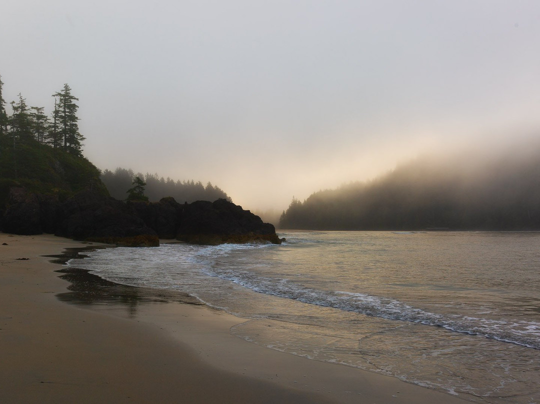 Cape Scott Provincial Park景点图片