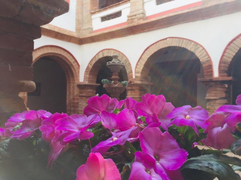 Hotel Ex Hacienda El Molino主图