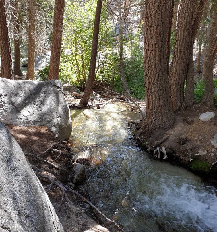Mount Whitney-红杉&国王峡谷国家公园必去景点