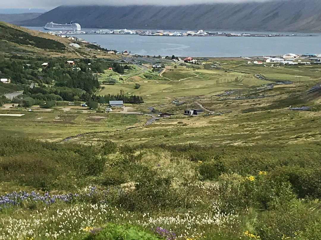 Wild Westfjords-伊萨菲厄泽必去景点