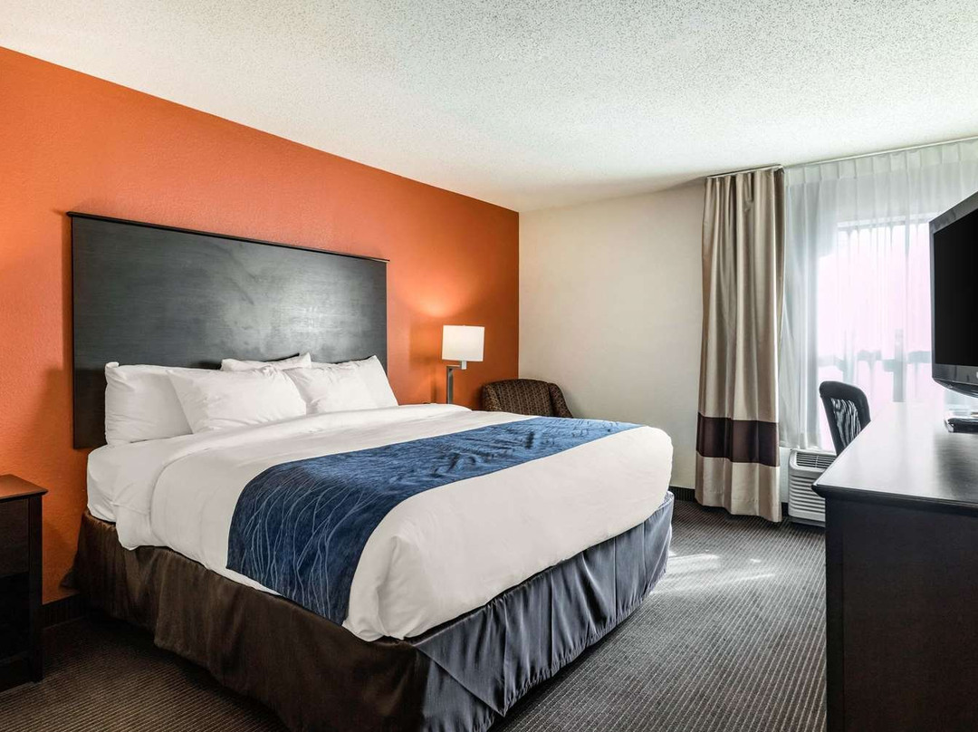 Comfort Inn Wings Stadium主图