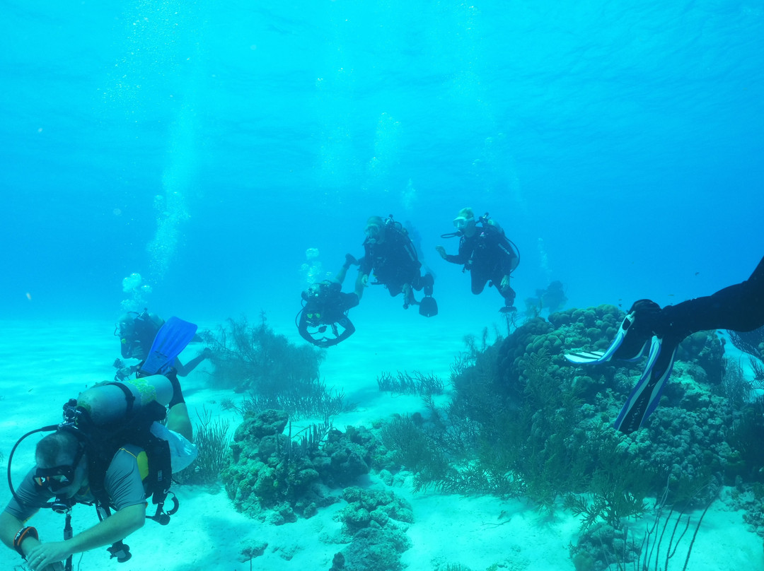 Buddy Dive Resort主图