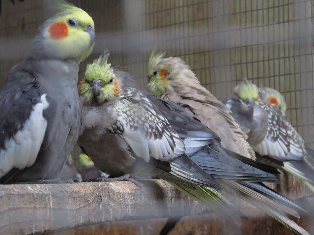 Petah Tikva Zoo-Petah Tiqwa必去景点