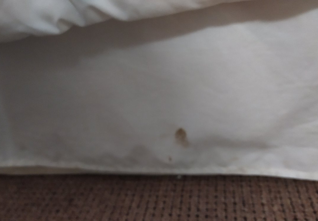 Halyards Hotel and Spa主图