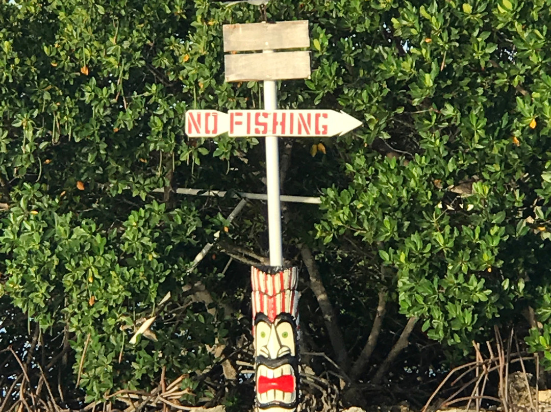 Kon-Tiki Resort主图