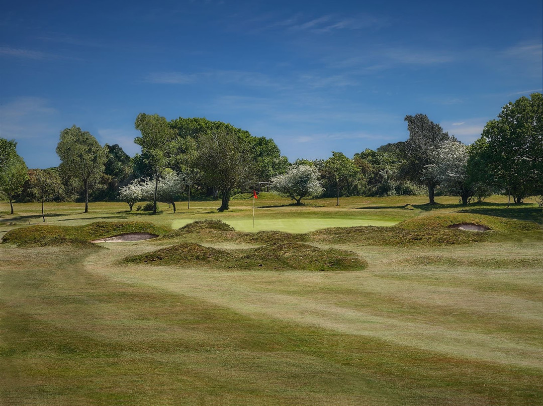 Yelverton Golf Club景点图片