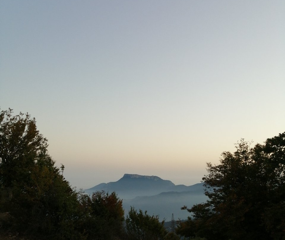 Abr Forest景点图片