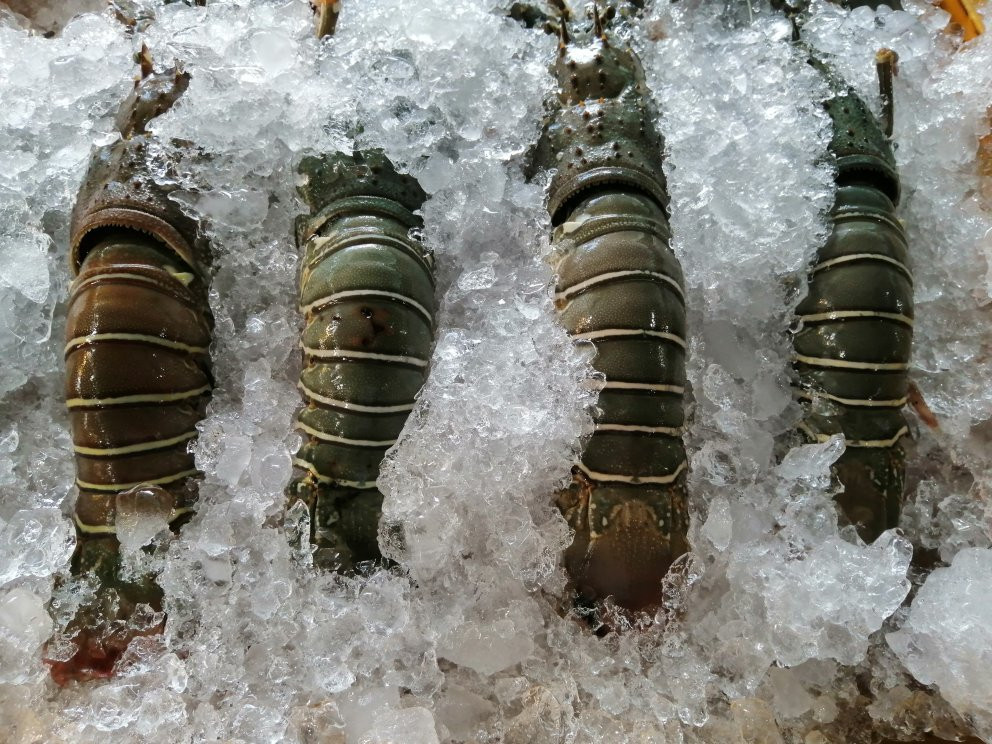 Fish Market Angsila-春武里必去景点