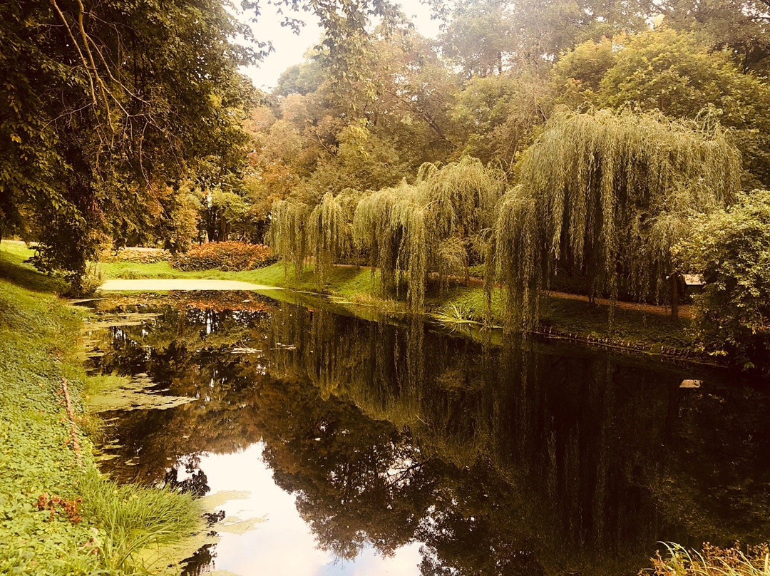 Nature Museum景点图片