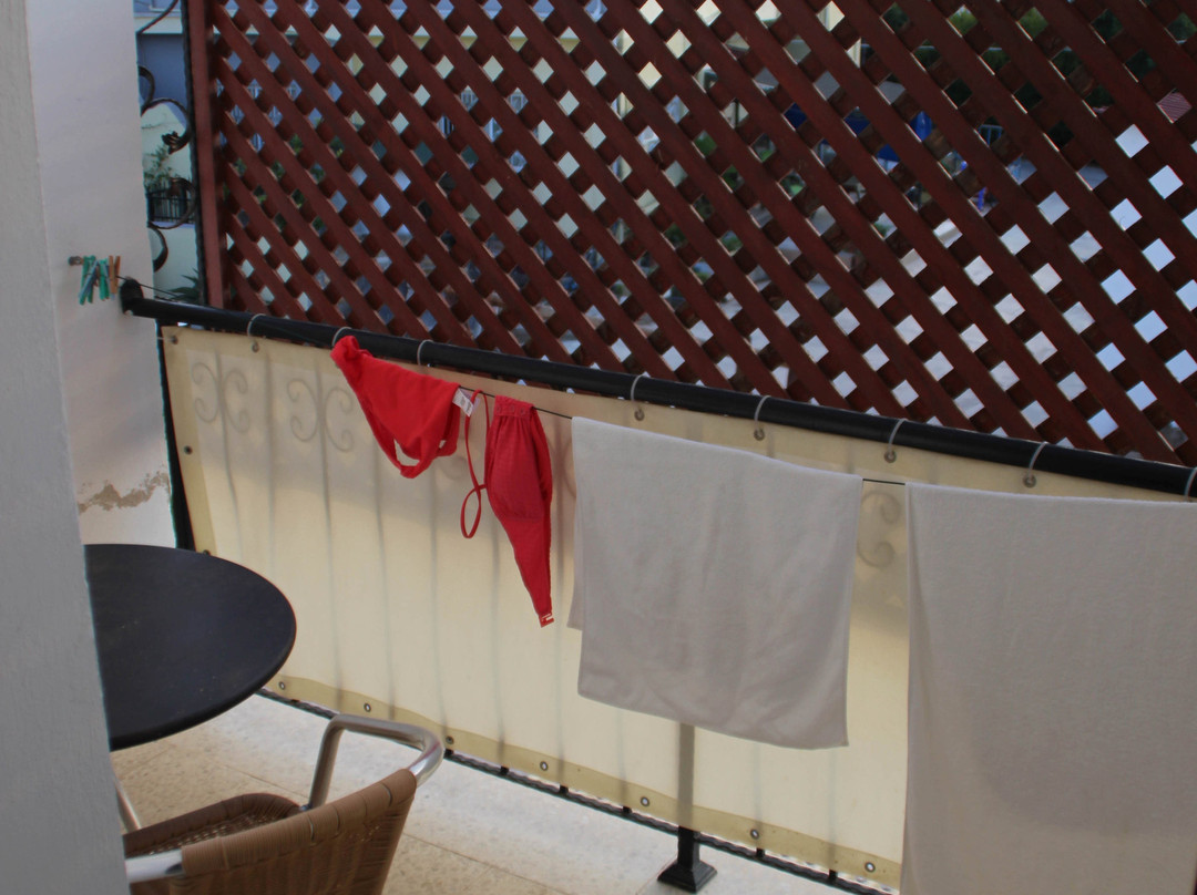 Citrus Tree Gardens主图