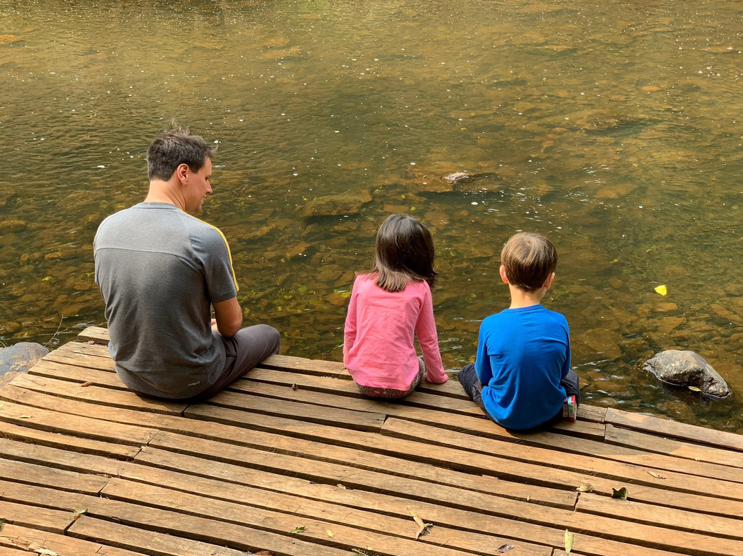 Margay - Reserva Natural & Lodge de Selva主图