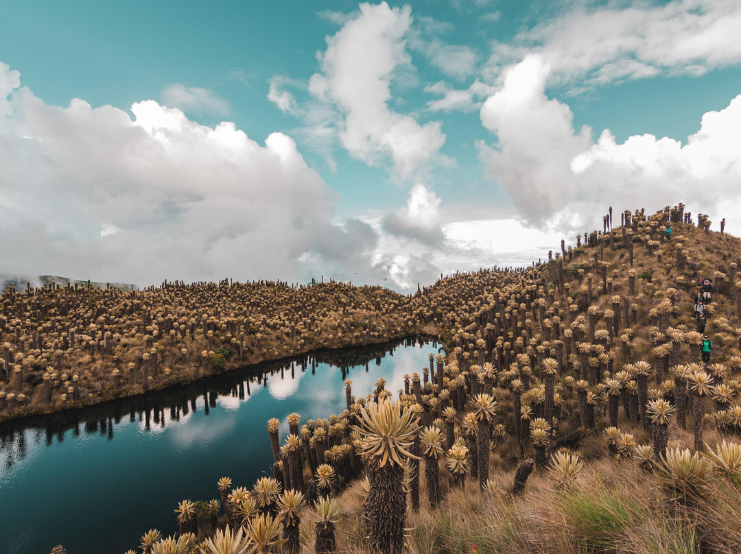 Colombia Outdoors景点图片