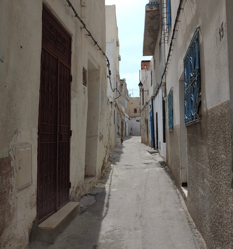 Tourbet El Bey-突尼斯必去景点