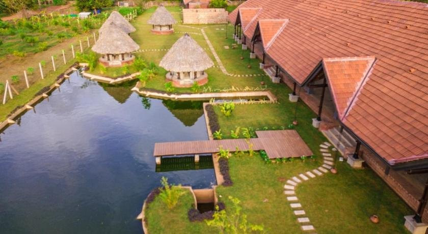 Thinnai Organic Farm主图