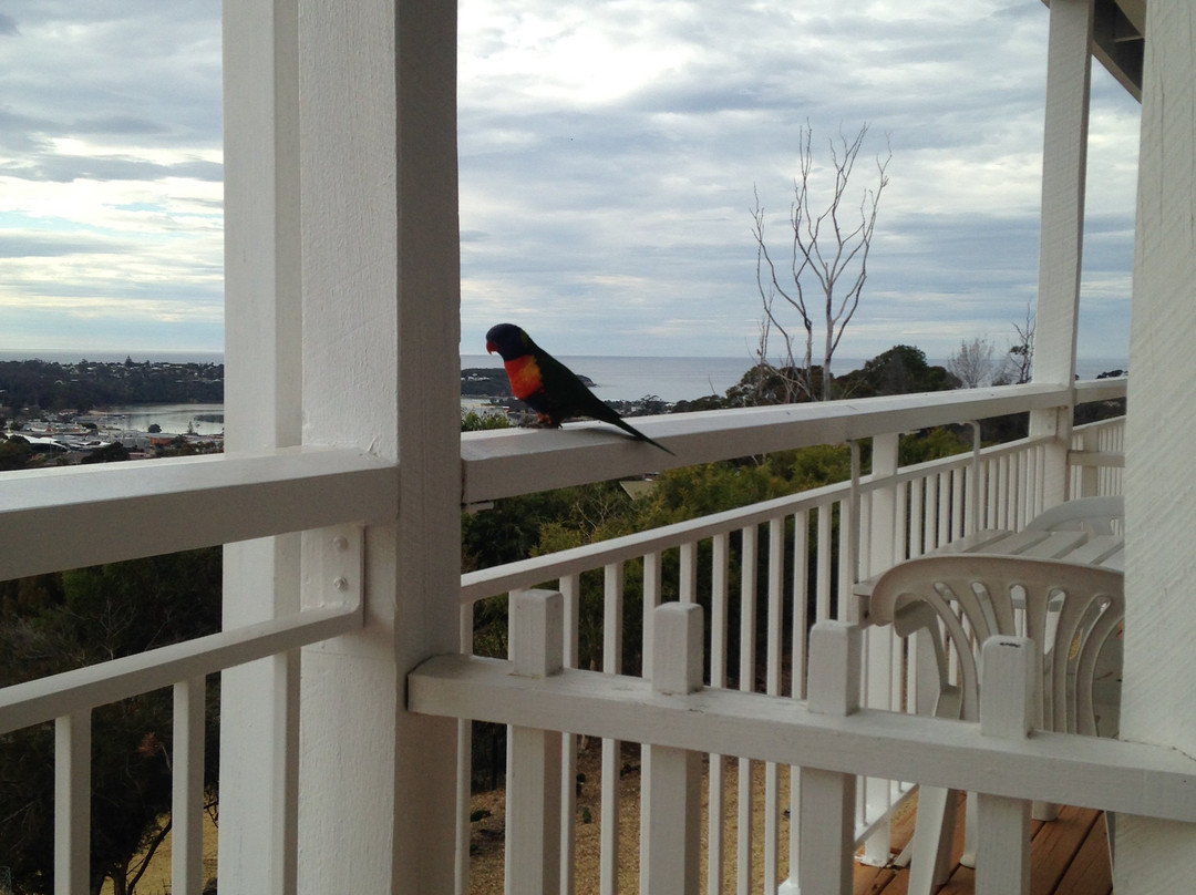 Kingfisher Motel主图