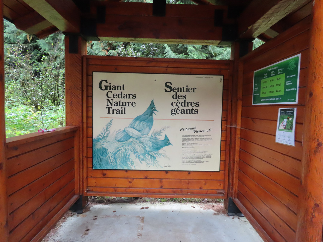 Giant Cedars Boardwalk Trail景点图片