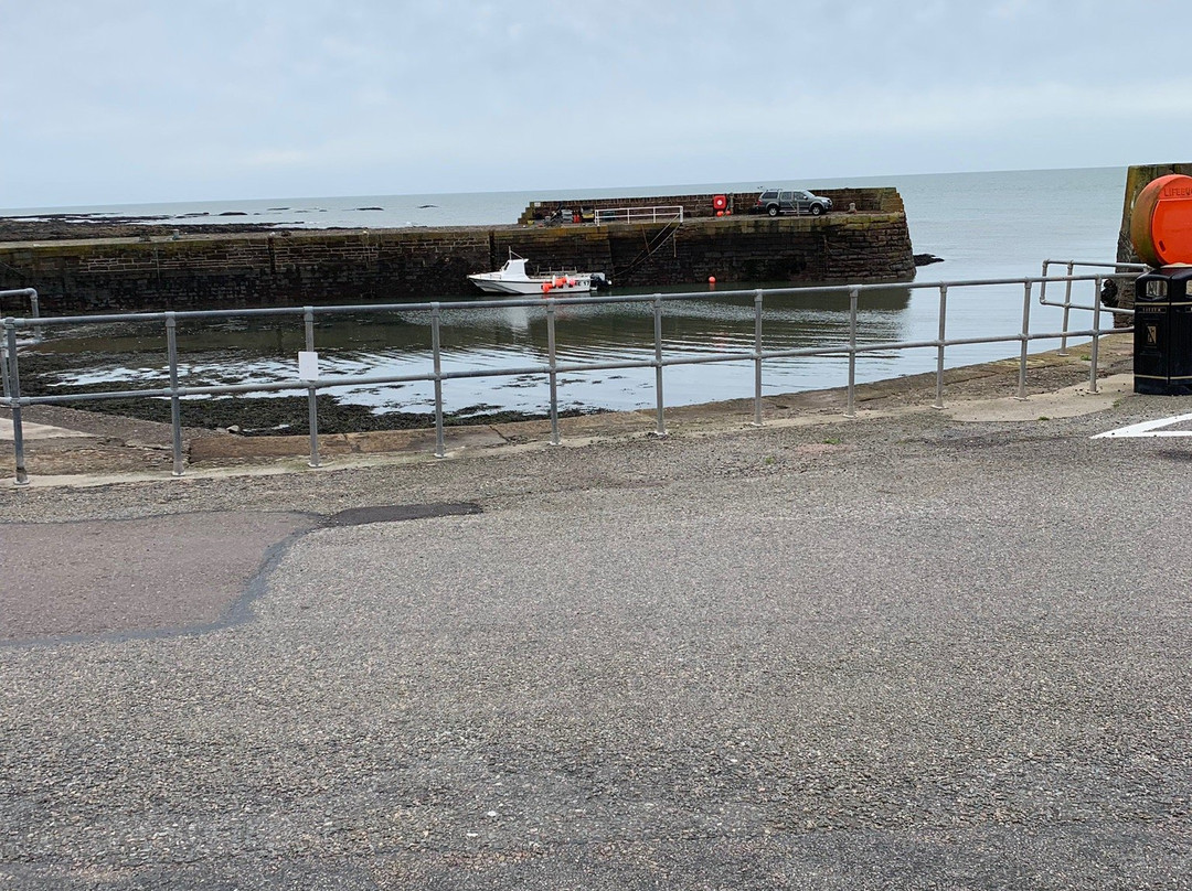 Stonehaven Harbour景点图片