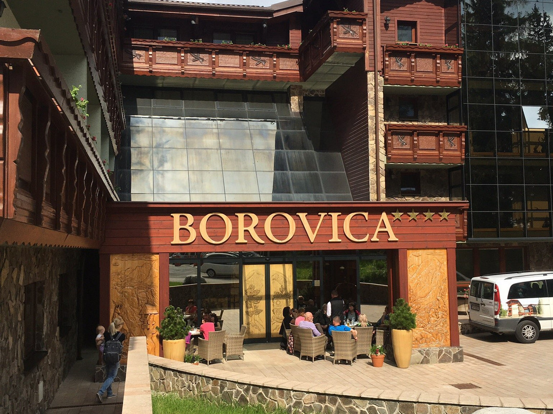 Wellness Hotel Borovica主图