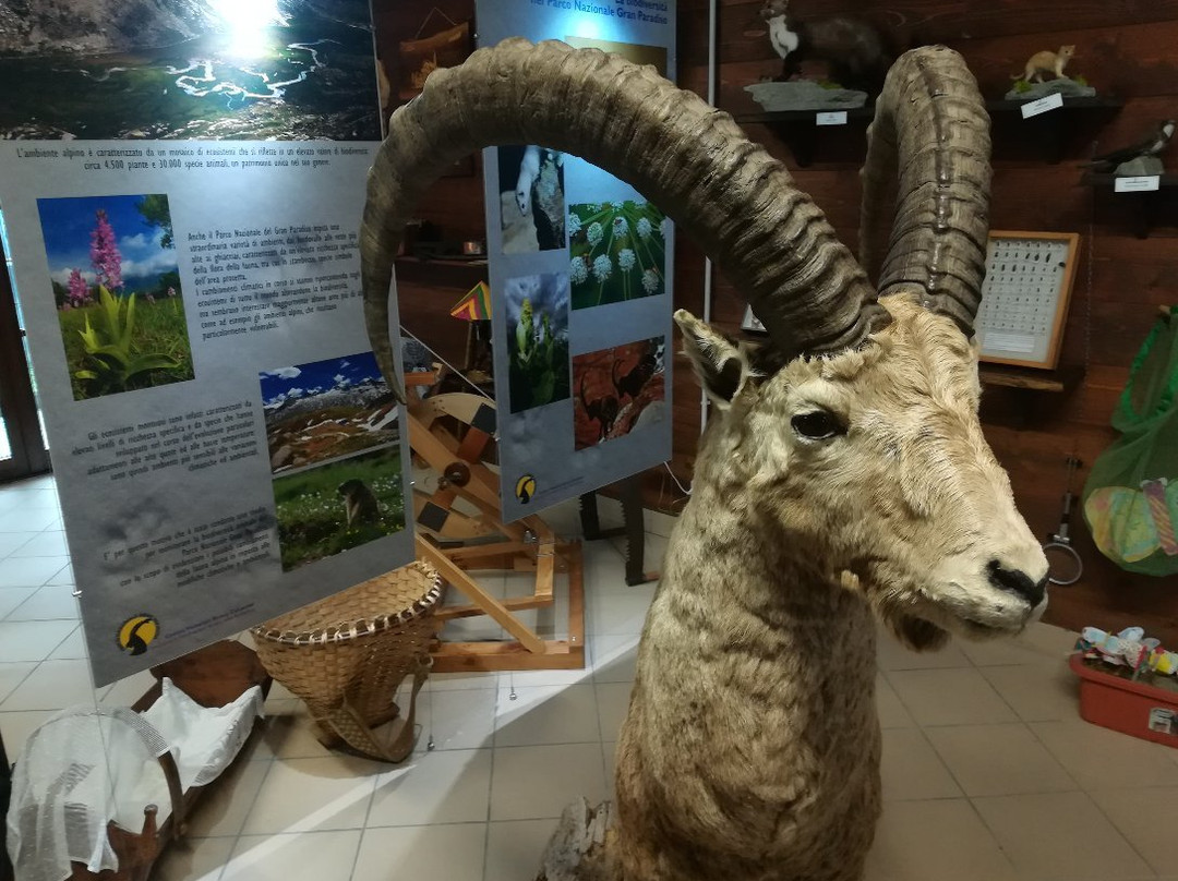 Centro Visitatori "Tradizioni e biodiversita in una valle fantastica"-Ronco Canavese必去景点