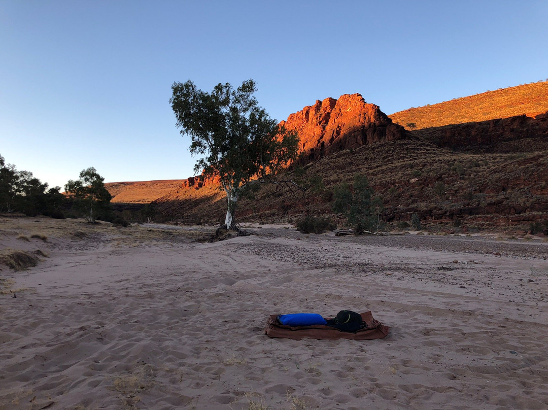 Finke River Adventures-爱丽斯泉必去景点