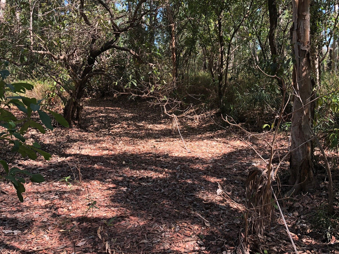 Howard Springs Nature Park景点图片