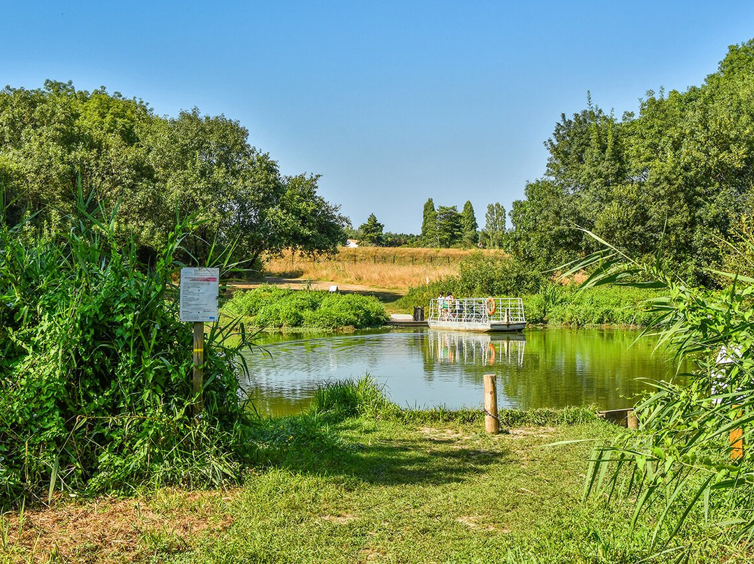 Le Marais De L'île景点图片