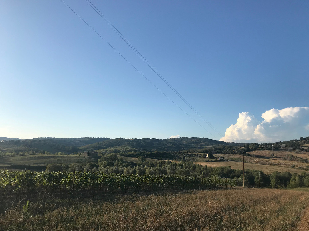 Poggio La Luna景点图片