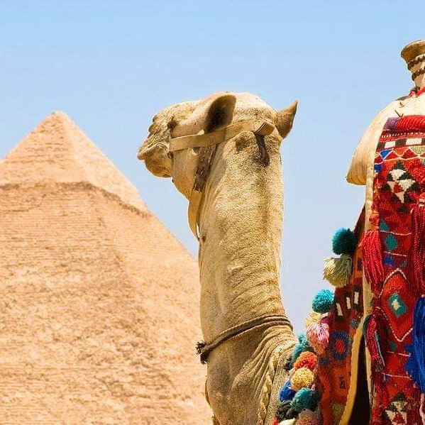 Egypt guide tours-开罗必去景点