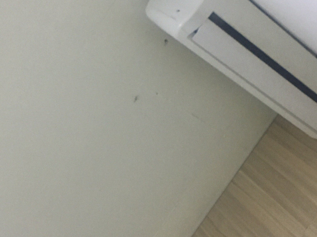 Hotel Vivendas主图