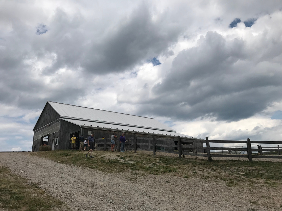 Donkey Sanctuary Of Canada-Puslinch必去景点
