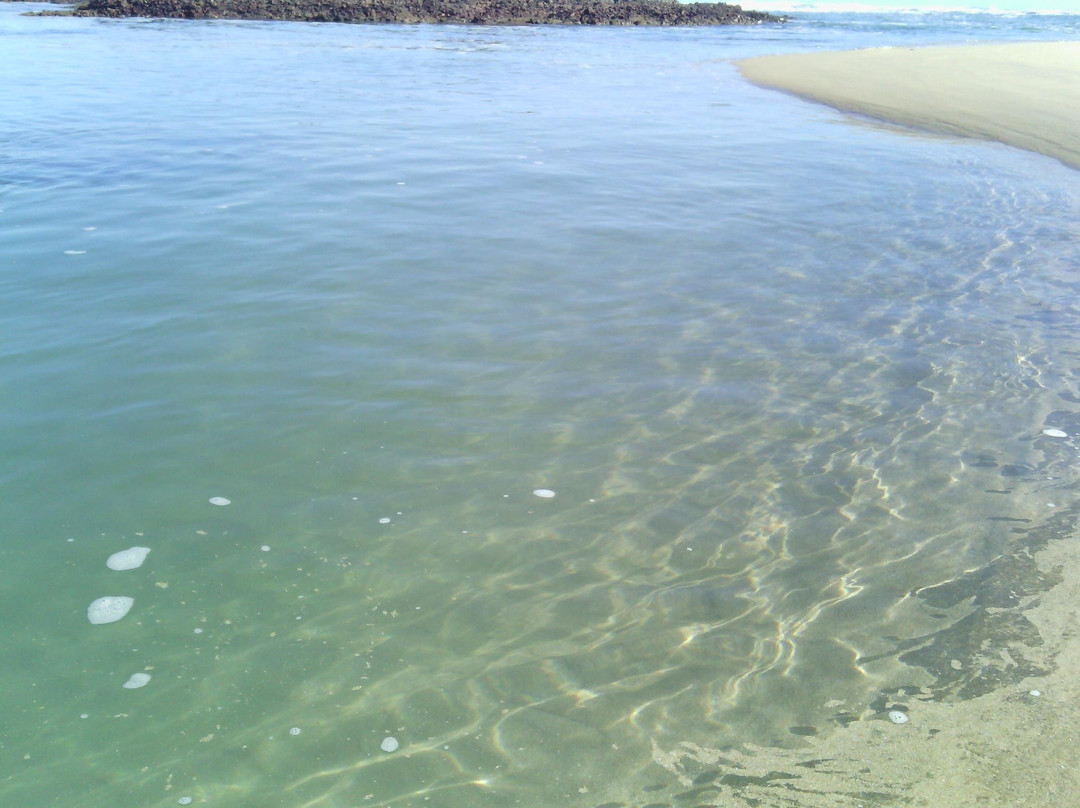 Guided Marine Tours - Port Elizabeth, South Africa-伊丽莎白港必去景点